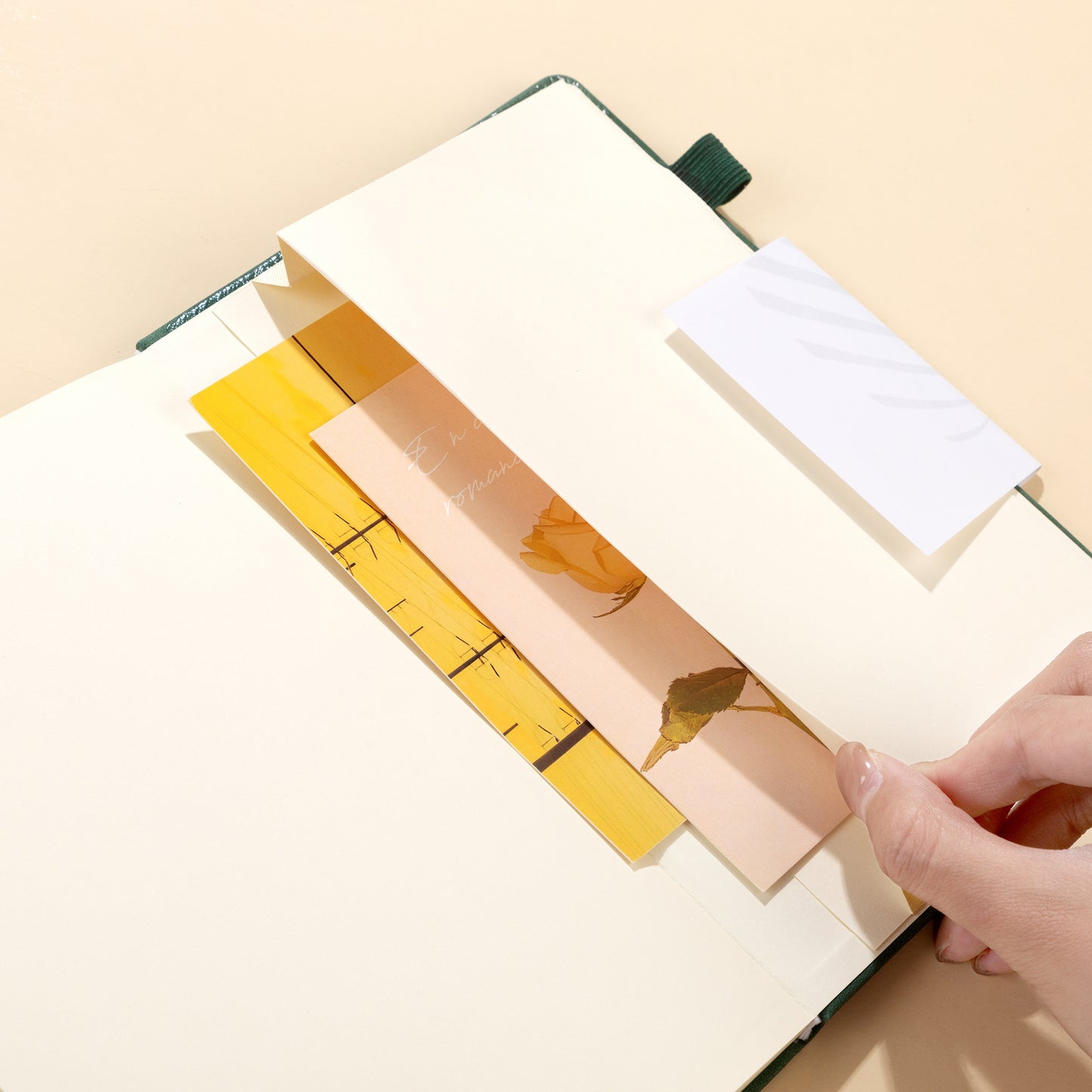 A May Plan Cash Budget Planner Week Plan